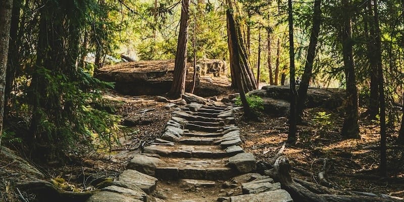 A photo of rocky stairs on a forest trail